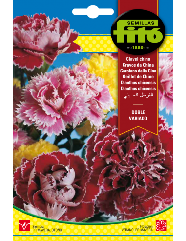 Clavel Chino Doble Variado (2 g)