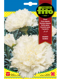 Clavel Gigante Blanco (0,8 g)