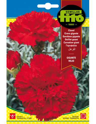 Clavel Gigante Rojo (0,8 g)