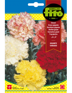 Carnation Giant Mix (0,8 g)