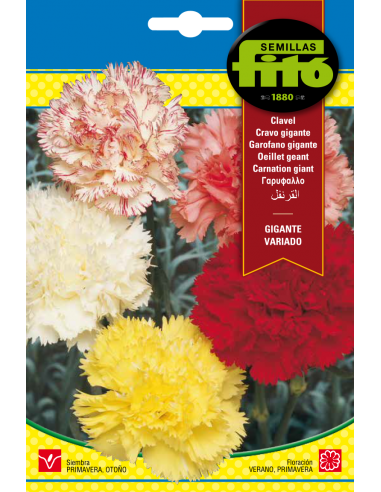 Clavel Gigante Variado (0,8 g)