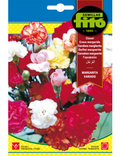 Carnation Marguerite Mix...