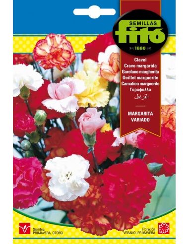 Carnation Marguerite Mix (0,8 g)