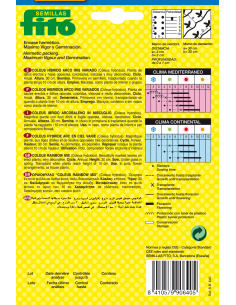 Coleus Híbrido Arco Iris... 2