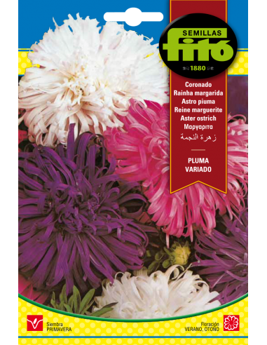 Aster Ostrich Plume Mix (2 g)