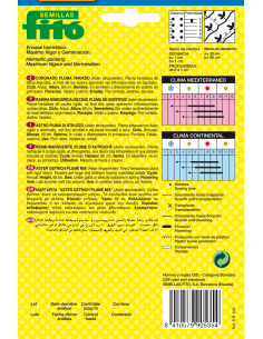 Aster Ostrich Plume Mix (2 g) 2