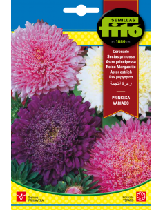 Aster Ostrich Princess...