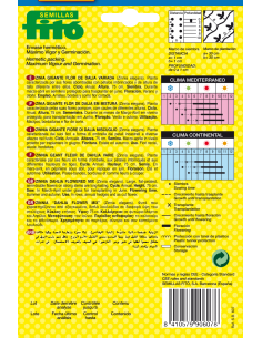 Zinia Gigante Flor de Dalla... 2