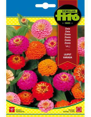 Zinia Liliput Variada (4 g)