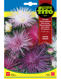 Aster Ostrich Unicum Mix (2 g)