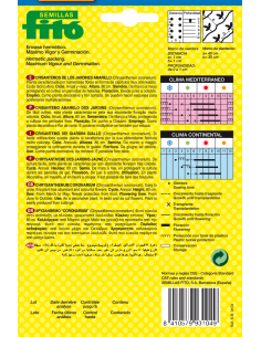 Chysanthemum Yellow... 2