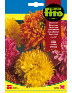 Chysanthemum Coronarium Mix...