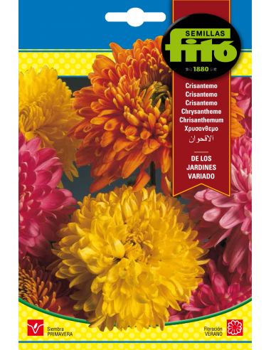 Chysanthemum Coronarium Mix (2 g)