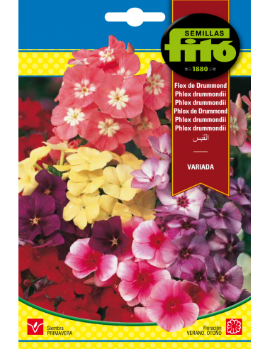 Flox de Drummond Variado (2 g)