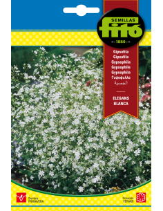 Gipsófila Elegans Blanca...