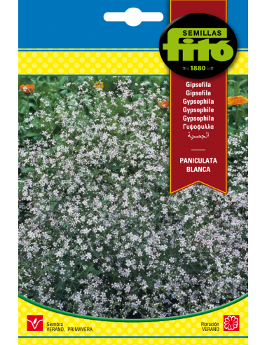 Gipsófila Paniculata (1 g)