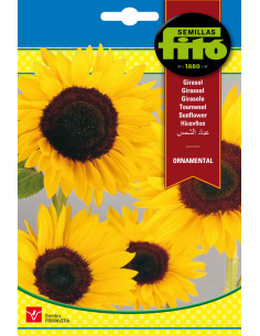 Girasol Ornamental (10 g)