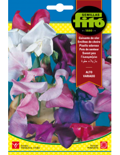 Guisante de Olor Alto...