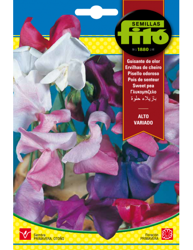Guisante de Olor Alto Variado (8 g)