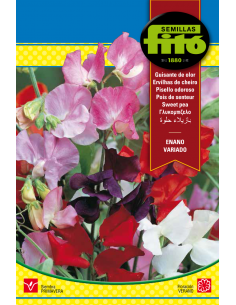 Guisante de Olor Enano (8 g)