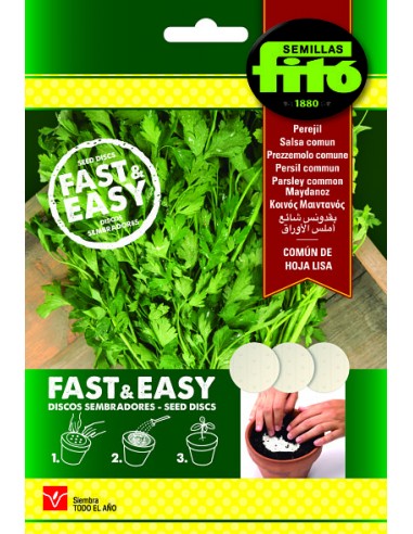 Perejil común de hoja lisa (Discos...