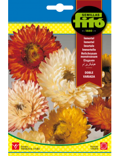 Inmortal Flor de Papel -...