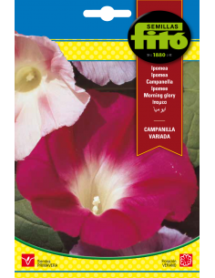 Ipomea Campanilla Variada...