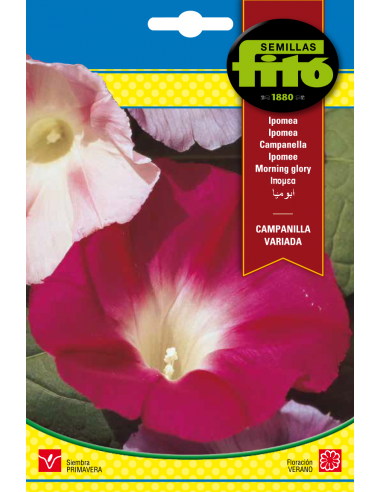 Ipomea Campanilla Variada (8 g)