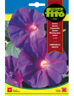 Ipomea Campanilla Violeta...