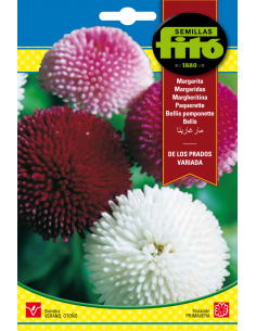 Bellis Pomponette Mix (0,43 g)