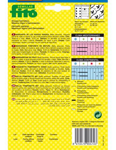 Bellis Pomponette Mix (0,43 g)