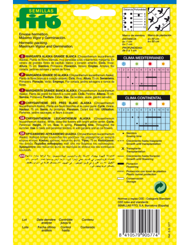 Margarita Grande de Alaska Blanca (3 g)