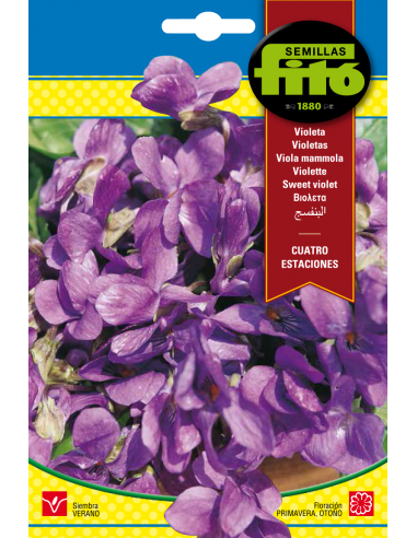 Sweet Violet (NOT AVAILABLE) (0,8 g)