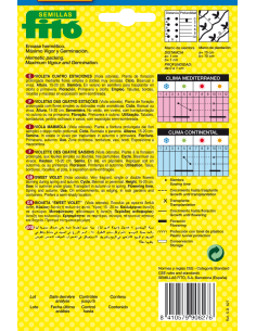 Violeta Cuatro Estaciones... 2