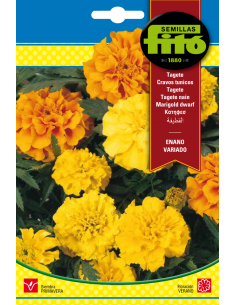 Tagete Enano Variado (4 g)