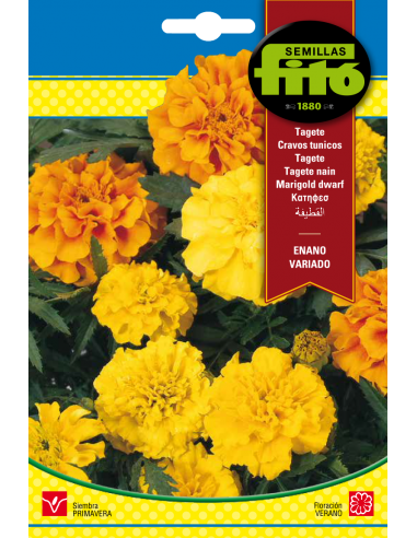 Tagete Enano Variado (4 g)