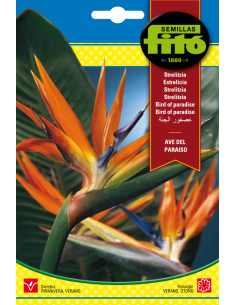 Bird of Paradise (5 seeds)