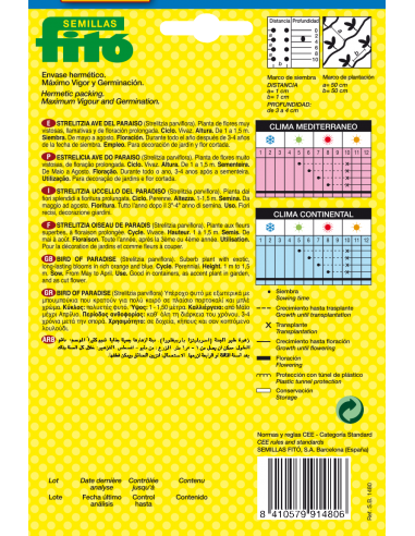 Bird of Paradise (5 seeds)