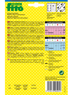 Prímula Primavera de los... 2