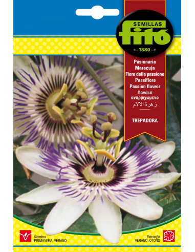 Pasionaria Trepadora (0,5 g)
