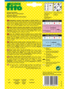 Pensamiento Gigante Suizo... 2