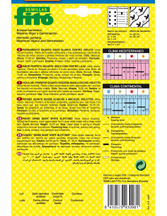 Pensamiento Gigante Suizo... 2