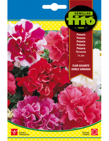 Petunia Flor Gigante Doble Variada...
