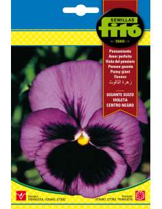 Pensamiento Gigante Suizo...