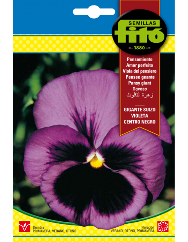 Pensamiento Gigante Suizo Violeta...