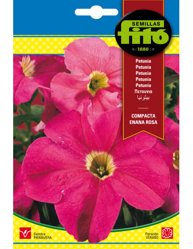 Petunia Compacta Enana Rosa (0,6 g)