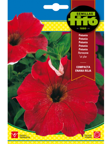 Petunia Dwarf Compact Red (0,6 g)