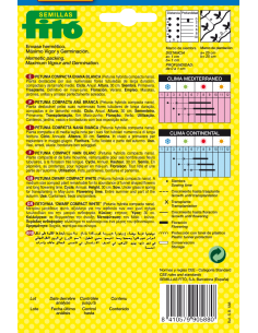 Petunia Compacta Enana... 2