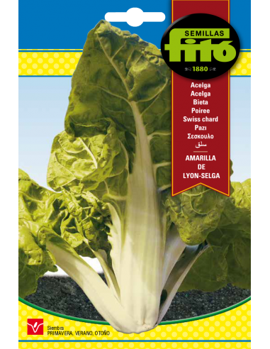 Acelga Amarilla de Lyon - Selga (10 g)