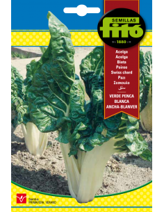 Acelga Verde Penca Blanca...